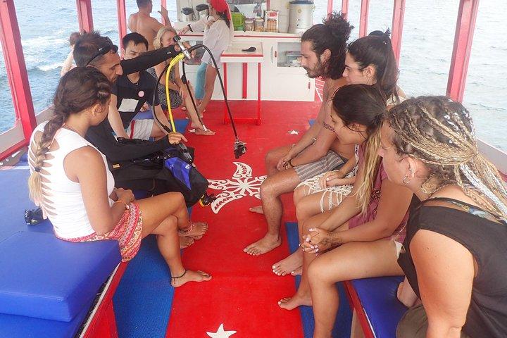 PADI Discover Scuba Diving a Koh Tao - mezza giornata e due immersioni