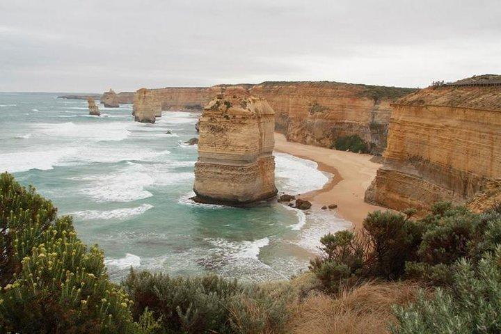 Melbourne Combo: Great Ocean Road Day Trip e Phillip Island Day Trip da Melbourne