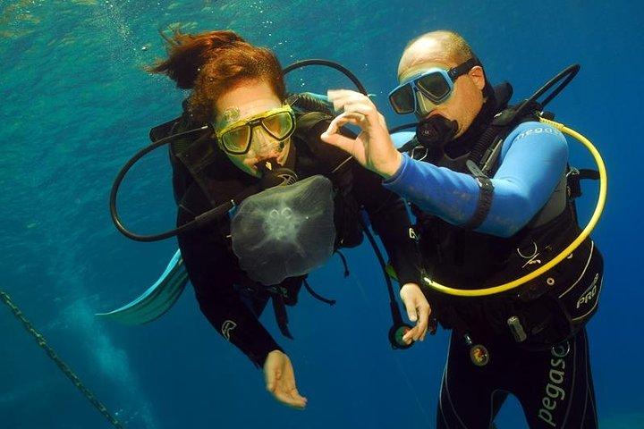 Descubrir el buceo