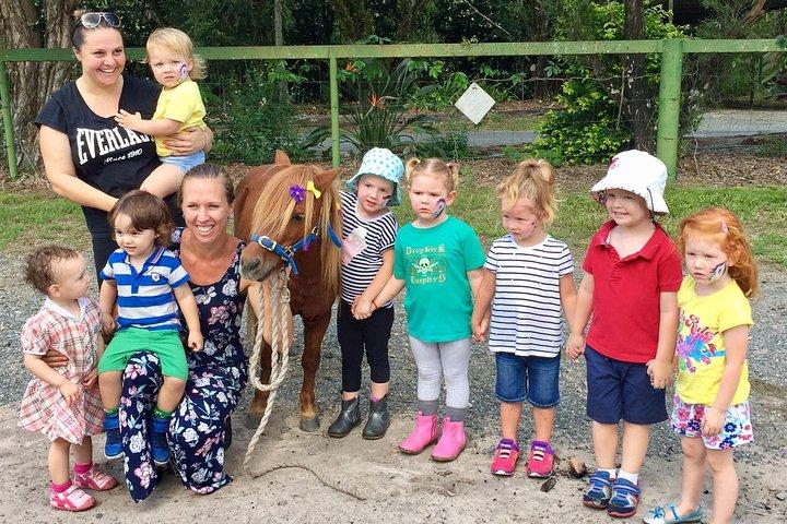 Trevena Glen Farm Animal Experience