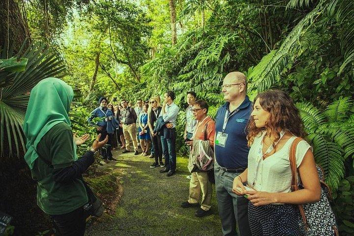 Descoberta Natural do Habitat em Penang Hill