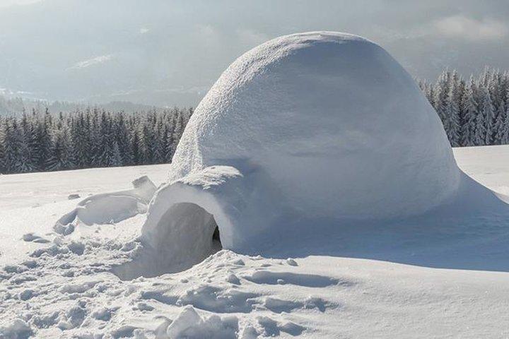 Bau eines Schnee-Iglus in Rovaniemi