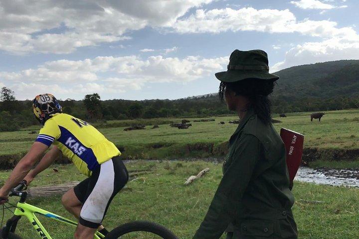 1 Tag Wandern und Fahrrad Safari im Arusha National Park