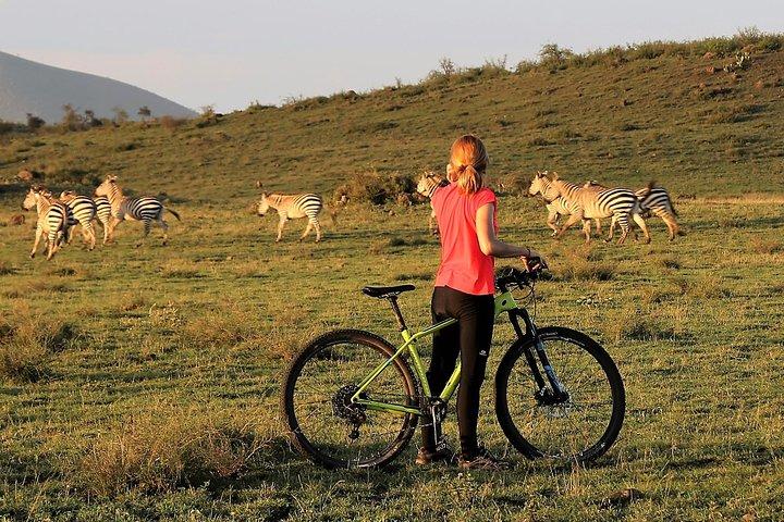 1 Tag Wandern und Fahrrad Safari im Arusha National Park