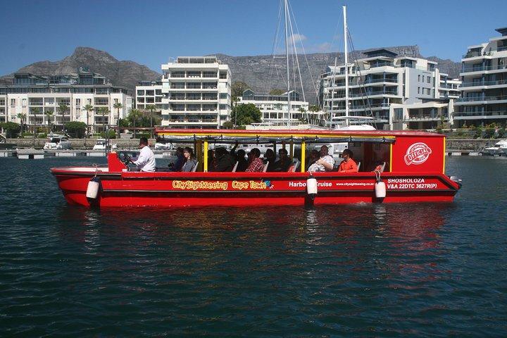 Cape Town 30 minutos V & A Harbour Cruise