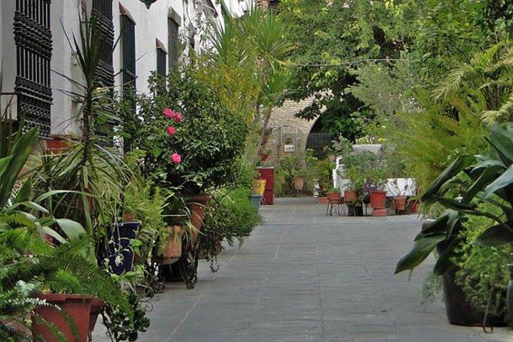 Privérondleiding door Sevilla naar de Koninklijke Alcazar en de kathedraal