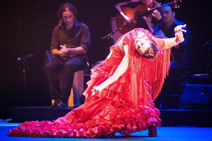 Sevilla Puro Flamenco Tour