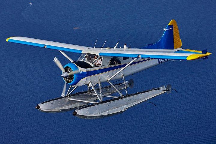 Miami Highlights Private Seaplane Tour med live kommentar