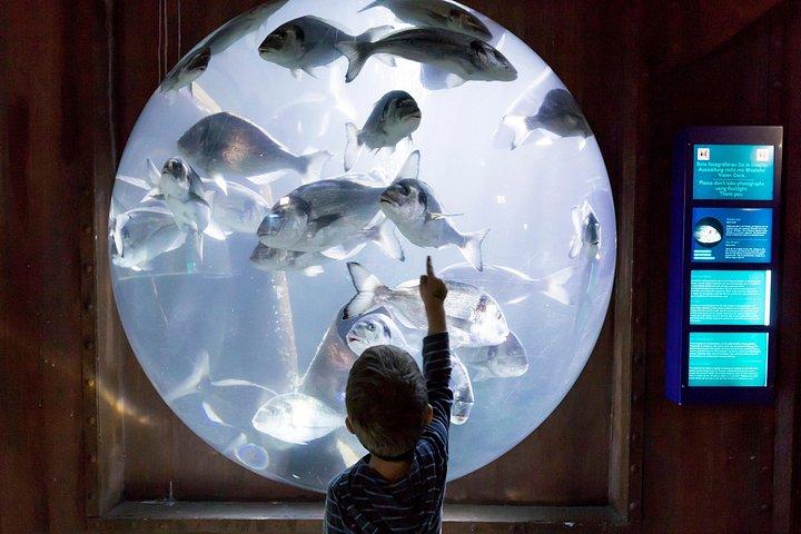 SEA LIFE Speyer Admission Ticket