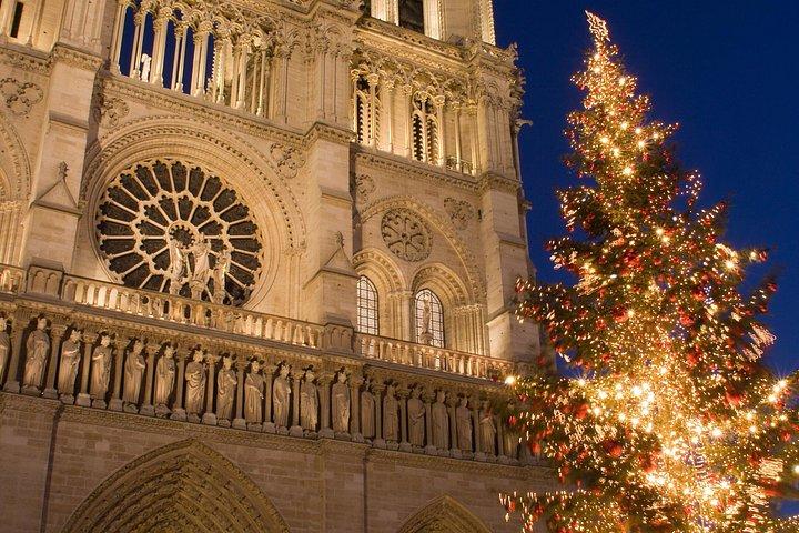 バトー・パリジャンによるセーヌ川のクリスマスクルーズランチまたはディナー