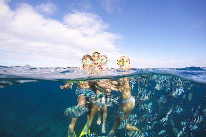 Sailing Catamaran Cruises
