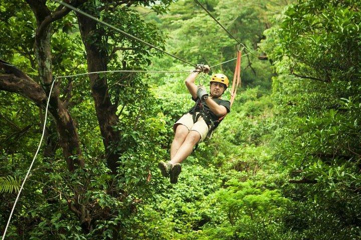 Antigua Zipline Canopy Adventure from St John's