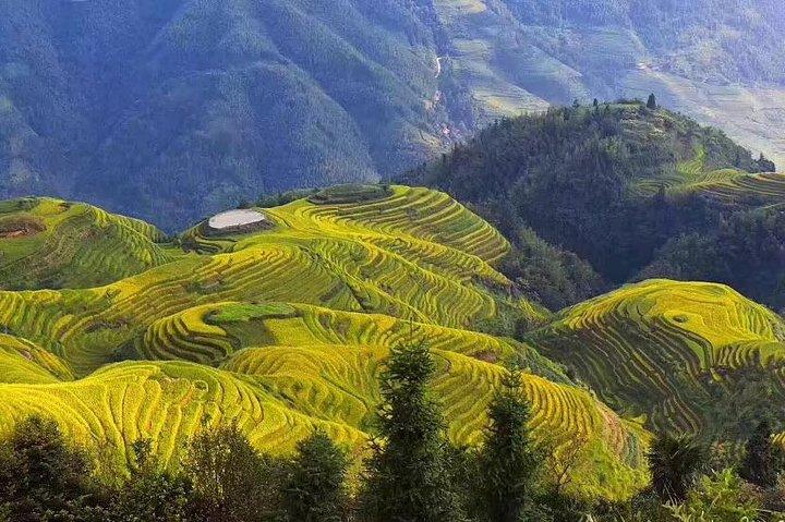 All-inclusive-Tagestour zu den Reisterrassen und dem Dorf Longji
