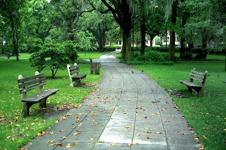 Savannah Stroll : Geführte Sightseeing- und Geschichtstour durch Savannah