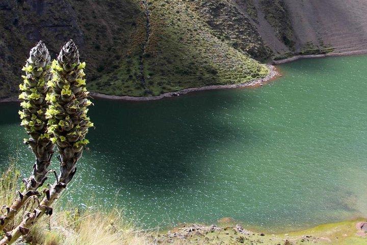 5 Tage Ancascocha Trail nach Machu Picchu (private Tour)