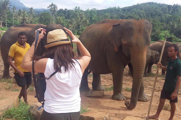 tour privato di kandy