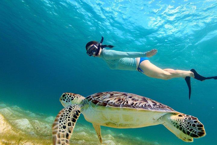 Snorkelen bij Hikkaduwa