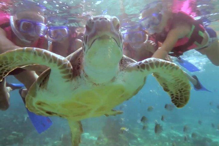 リビエラマヤシュノーケリング