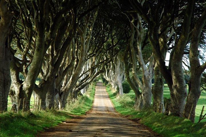 Tour di un giorno del Trono di Spade e del Giant's Causeway da Belfast