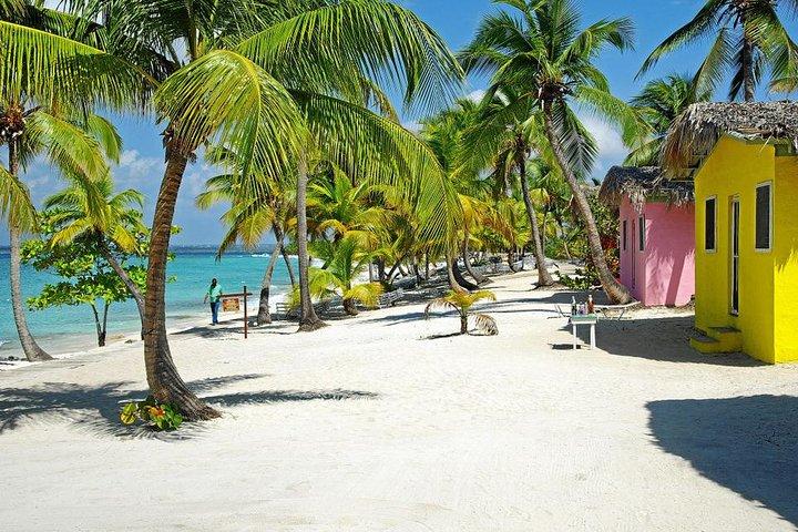 Tour a la Isla Catalina desde Punta Cana Snorkeling Todo Incluido