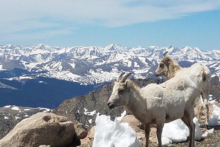Mount Blue Sky 14.265ft top en gletsjermeren