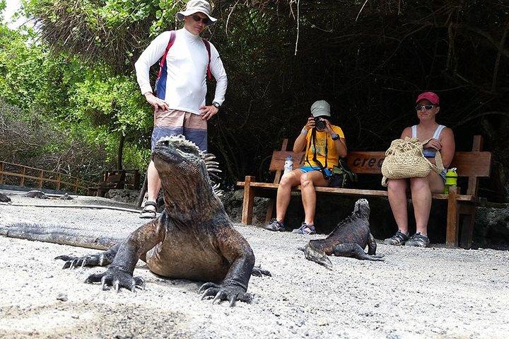 7-Tage-Galapagos-Grundlagen