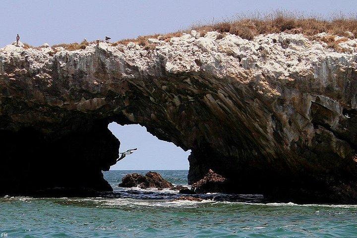 Marietas Islands Snorkelen & verborgen strandervaring