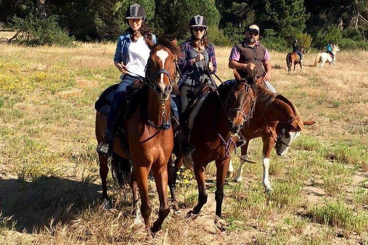 Roma : Paseos a caballo con comidas y vino incluido