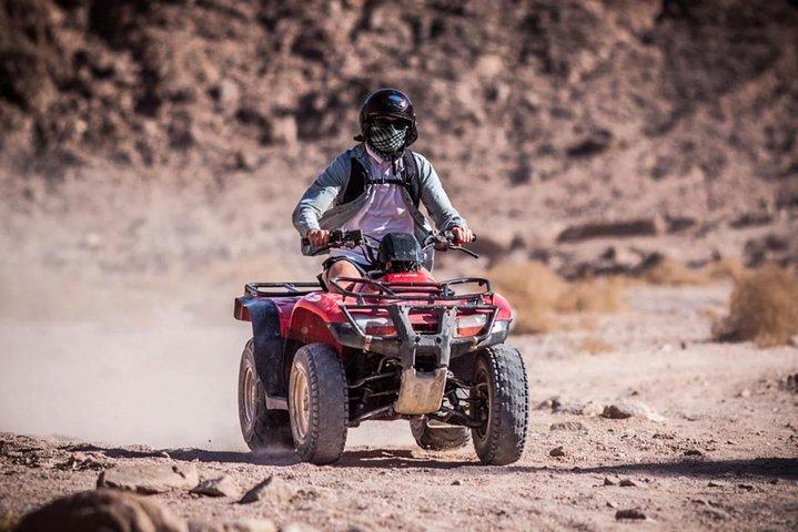 Quad biking in the palm grove of Marrakech