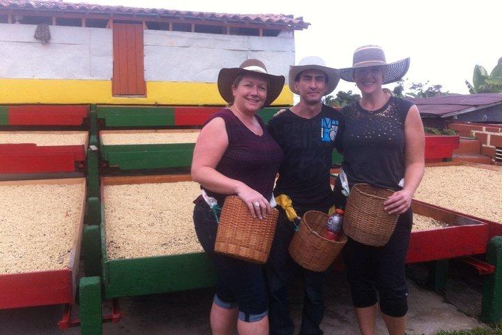 Private Jardin Trip : Kolumbianische Kaffeetour & Verkostung, Medellin