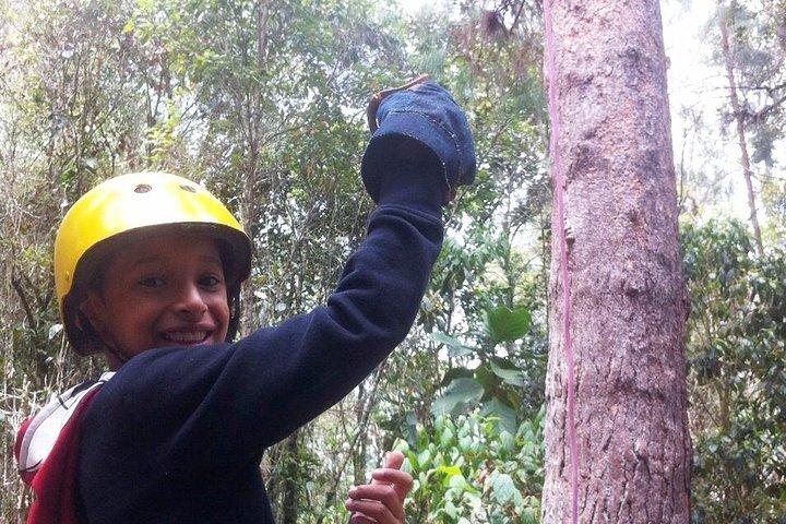Combo : Zip lines Adventure and Christmas Lights Tour of Medellin(ジップライン・アドベンチャー&クリスマス・ライツ・ツアー・オブ・メデリン)