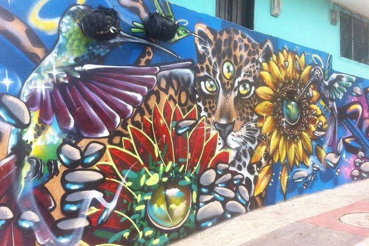 Tour privato di un'intera giornata a Medellin City, Street Art e Food