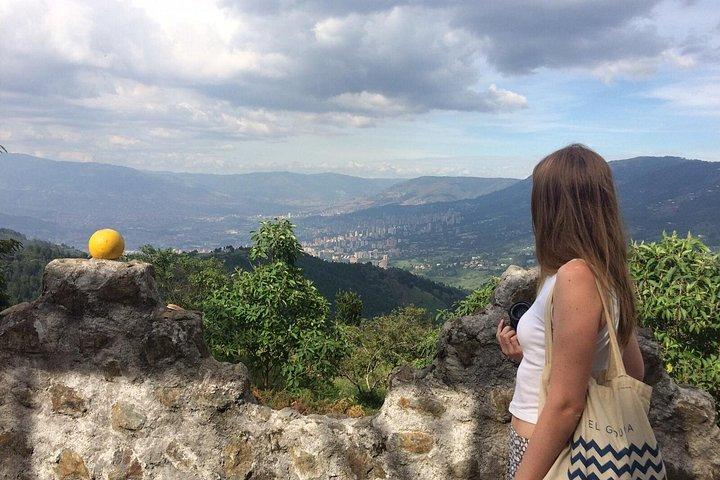 Medellin City Combo Tour och Jerico Coffee Region inklusive lunch