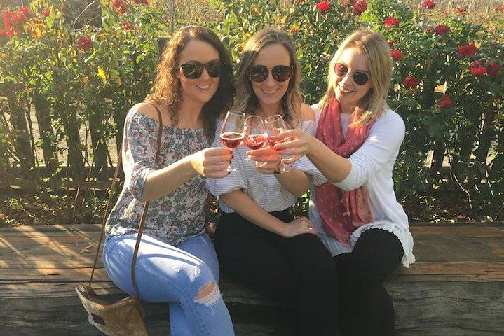 Visite du vin de la vallée des cygnes - Journée complète