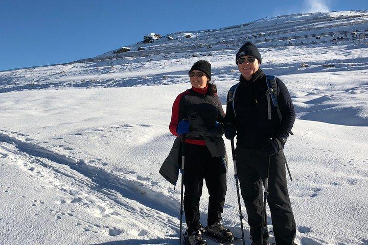 Tour de raquetas de nieve Wanaka