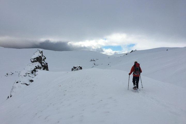 Tour de raquetas de nieve Wanaka