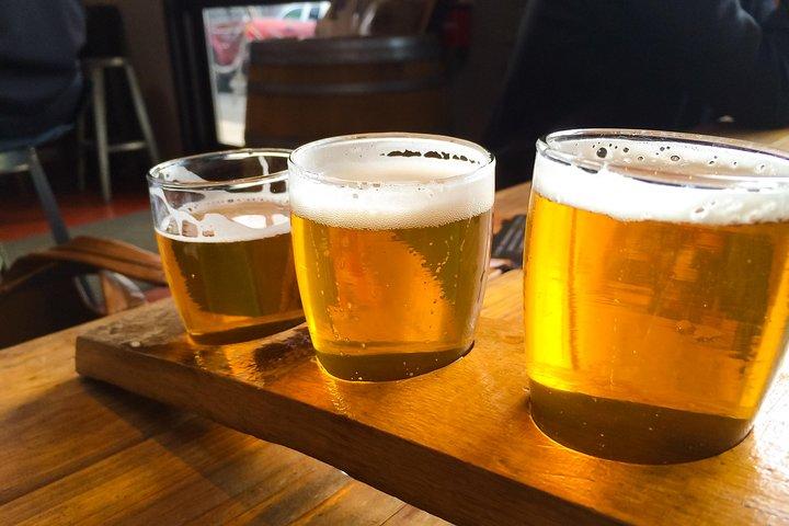 Bike & Brew: Beautiful Denver Downtown Tour by E-Bike or Bicycle