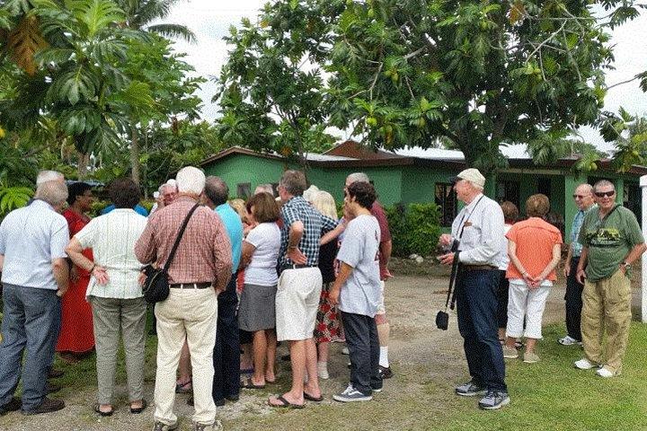 Excursões em terra - "Tour histórico e cultural" de Nadi com parada para almoço