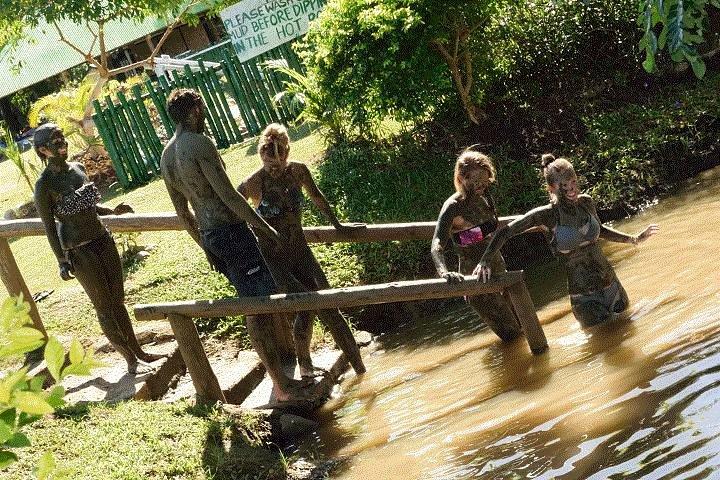 Mudderbassiner-Nadi private terapeutiske pools, haver, tempel, marked og shoppingtur
