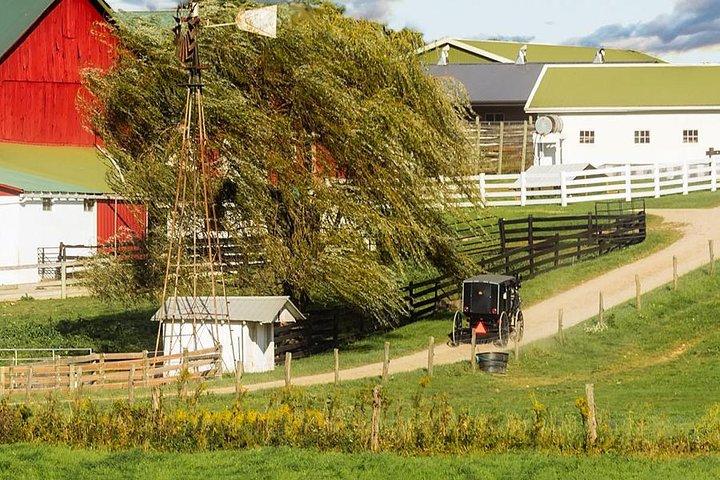 Amish Experience Visit-In-Person Tour