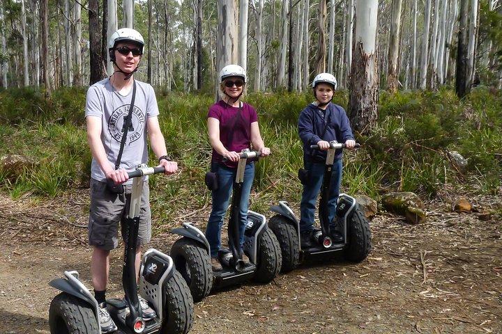 Launceston: Avventure sulle cime degli alberi di Hollybank - Segway Tour