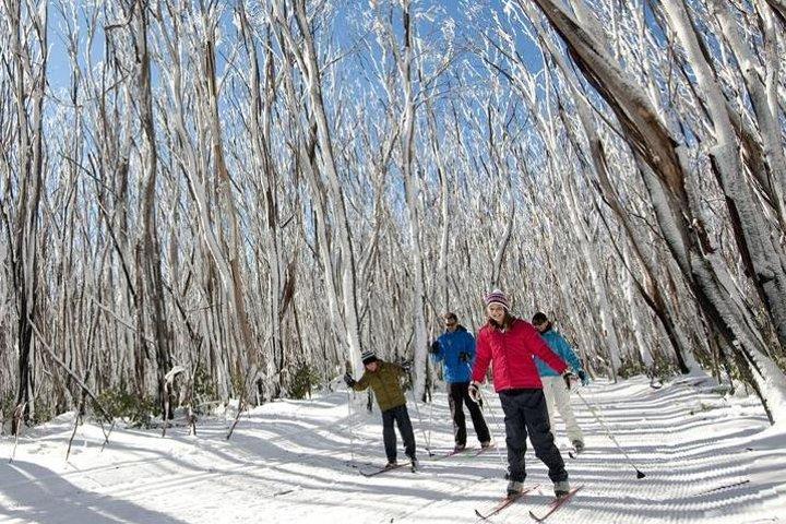 チョコレートと滝のレイクマウンテンへのメルボルン雪旅