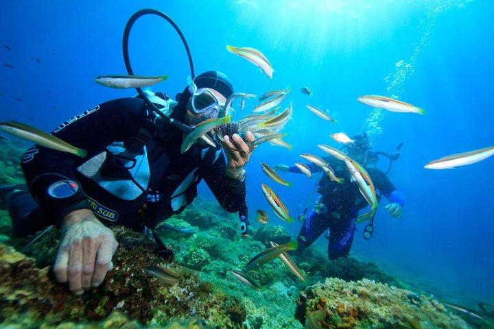 Excursão de mergulho em Nha Trang em Coral Bay