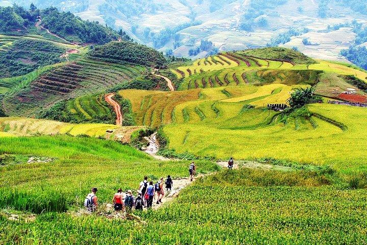 4-daags Ontdek Hanoi City, Ha Long Bay en Sapa Highlights