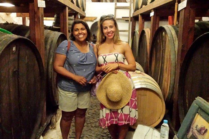 Excursão Privada: Ancient Akrotiri and Santorini Winery Tour
