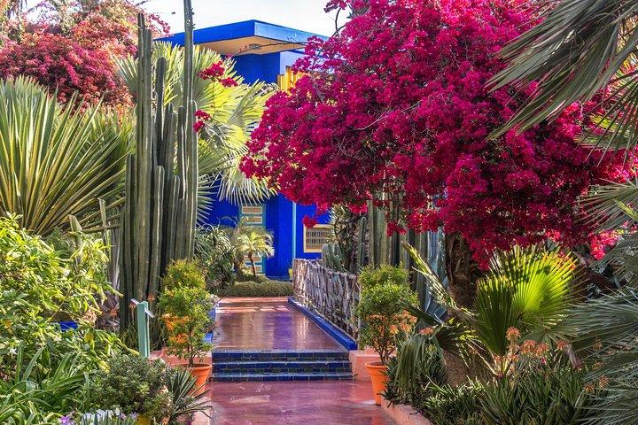 3-Hour Botanical Tour of Marrakech by Horse Carriage