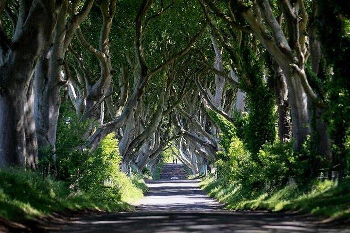 Locais dos Game of Thrones e Giants Causeway Tour
