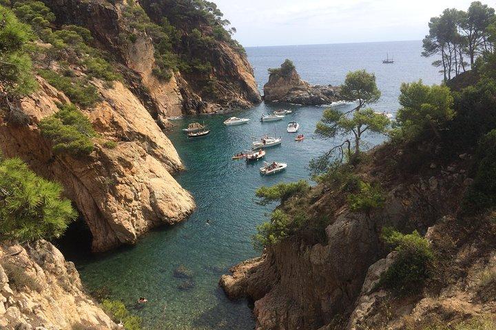 Costa Brava Randonnée & Tossa de Mar : Excursion en petit groupe au départ de Barcelone