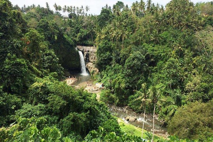 Bali Night Market Experience und Ubud Highlights Tour
