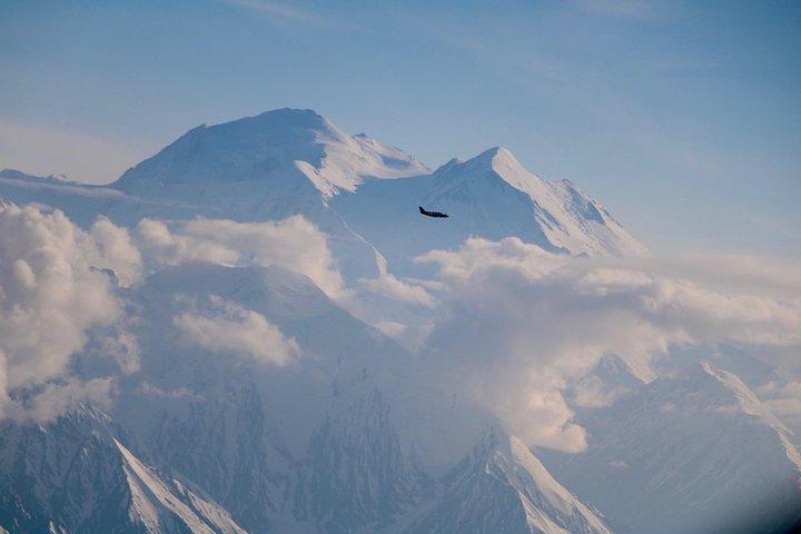 Denali Peak Sightseeing med fly